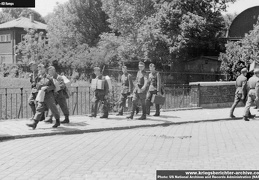 KB Kemps 008 (3964 visits) KB Kemps 008
