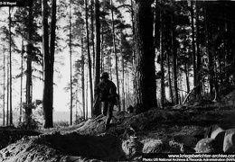 KB Wiegand 044 (3297 visits) KB Wiegand 044