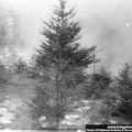 KB Tylawski 007 (2446 visits) KB Tylawski 007