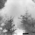 KB Tylawski 009 (2412 visits) KB Tylawski 009