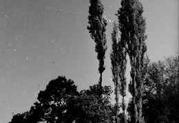 KB-Rottensteiner-070 (1197 visits) KB-Rottensteiner-070