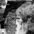 KB-Rottensteiner-001 (1734 visits) KB-Rottensteiner-001