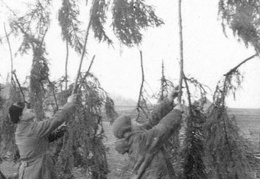 KB-Truöl-019 (3643 visits) KB-Truöl-019