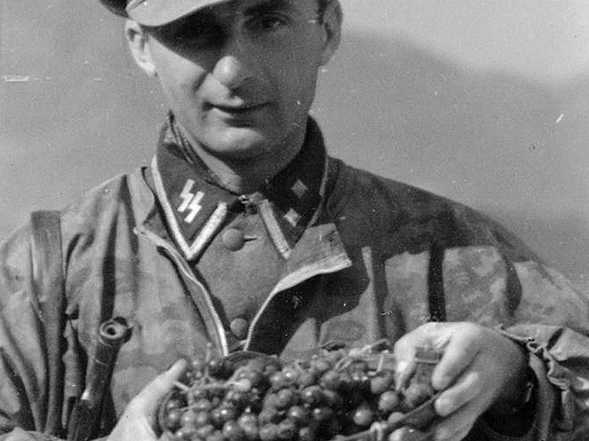 KB Buschel 049 (8302 visits) KB Buschel 049