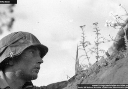 KB Buschel 113 (4298 visits) KB Buschel 113