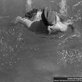 KB Damm-Jensen 002 (3757 visits) KB Damm-Jensen 002
