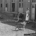 KB Damm-Jensen 010 (3487 visits) KB Damm-Jensen 010
