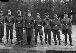 KB Feder 012 (3789 visits) KB Feder 012