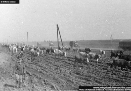 KB Zschackel 019 (3388 visits) KB Zschackel 019