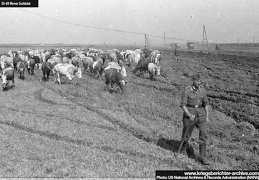 KB Zschackel 020 (3253 visits) KB Zschackel 020