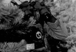 KB Homann 466 (2798 visits) KB Homann 466