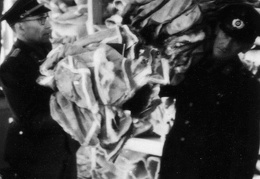 KB Hoffmann 028 (2556 visits) KB Hoffmann 028