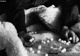 KB Hoffmann 030 (2536 visits) KB Hoffmann 030