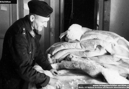 KB Hoffmann 031 (2663 visits) KB Hoffmann 031