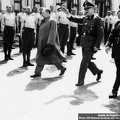 KB Fritsch 009 (3221 visits) KB Fritsch 009