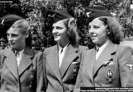 KB Mielke 036 (2548 visits) KB Mielke 036
