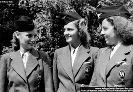 KB Mielke 037 (2770 visits) KB Mielke 037