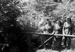 KB Mielke 038 (3012 visits) KB Mielke 038