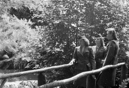 KB Mielke 039 (3021 visits) KB Mielke 039