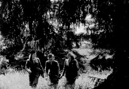 KB Mielke 040 (2524 visits) KB Mielke 040