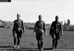 KB Wickl 019 (2769 visits) KB Wickl 019