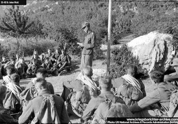 KB Wickl 029 (2698 visits) KB Wickl 029