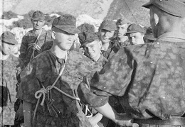 KB Wickl 036 (2745 visits) KB Wickl 036