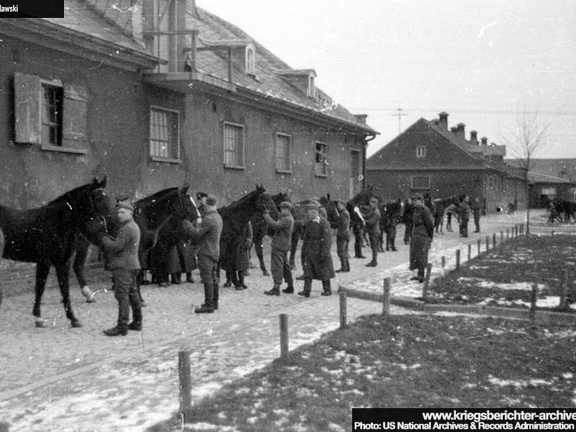 KB Tylawski 095 (2240 visits) KB Tylawski 095