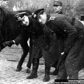KB Tylawski 097 (2250 visits) KB Tylawski 097
