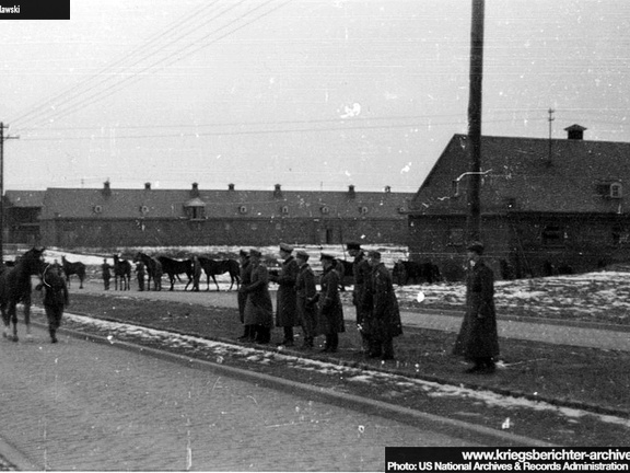 KB Tylawski 098 (2192 visits) KB Tylawski 098