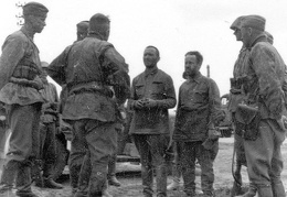 KB Kraus 016 (3137 visits) KB Kraus 016