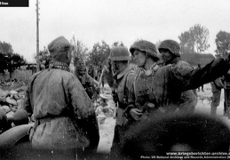 KB Kraus 042 (2793 visits) KB Kraus 042