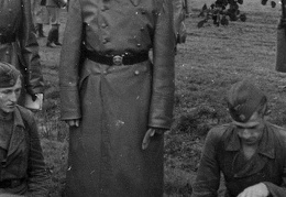 KB Hofstater 006 (3309 visits) KB Hofstater 006