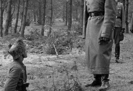 KB Hofstater 012 (3198 visits) KB Hofstater 012