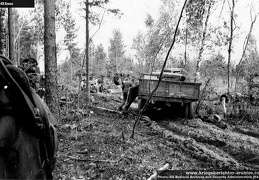 KB Kransc 021 (4202 visits) KB Kransc 021