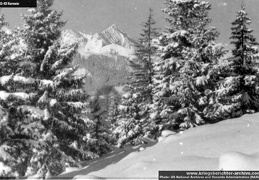 KB Kiermeier 007 (3798 visits) KB Kiermeier 007