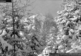 KB Kiermeier 010 (3567 visits) KB Kiermeier 010