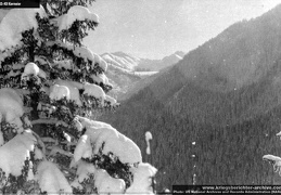 KB Kiermeier 013 (3737 visits) KB Kiermeier 013