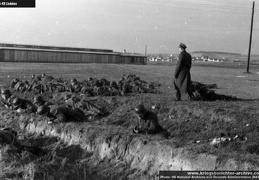KB Lindeken 018 (2642 visits) KB Lindeken 018