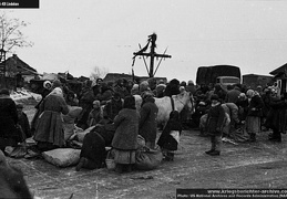 KB Lindeken 042 (2504 visits) KB Lindeken 042