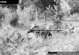 KB-Weill-1278 (2211 visits) KB-Weill-1278