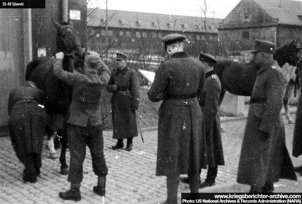 KB Tylawski 092 (2354 visits) KB Tylawski 092