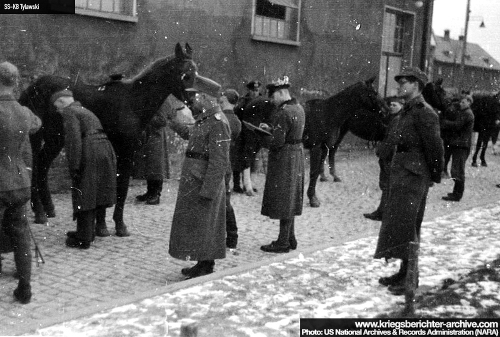 KB Tylawski 094 (2267 visits) KB Tylawski 094